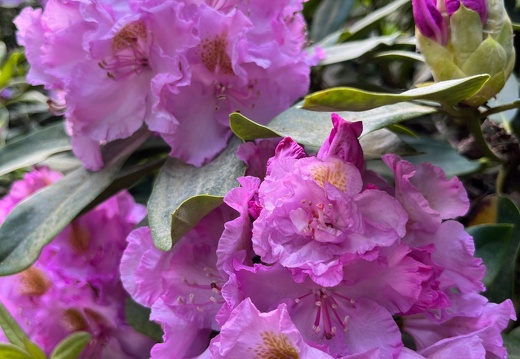 23-06-03 16-42-39 5792